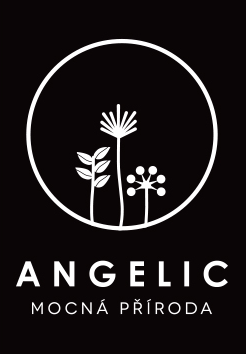 Logo_Angelic - Mocna priroda